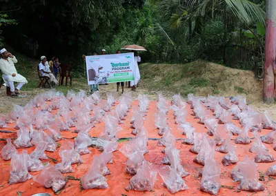 Rows of bagged Qurbani meat ready for distribution