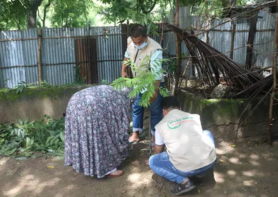 Volunteers planting a sapling